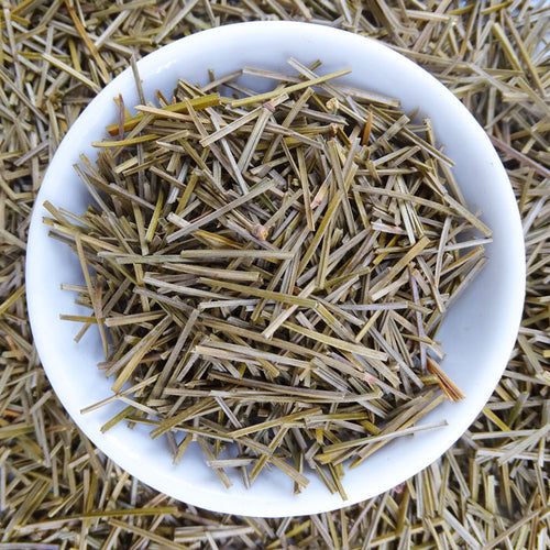 4 Reasons You Should Start Drinking Pine Needle Tea