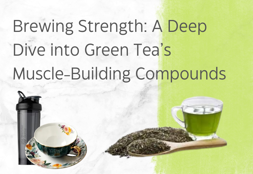 A Deep Dive into Green Tea’s Muscle-Building Compounds