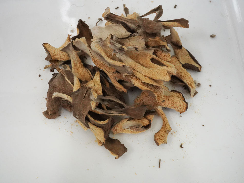 Maitake Mushroom Tea