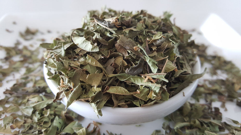 Lemon Verbena Tea - Herbal Tea - Caffeine Free, Catch, Common Cold, Digestion, Kogan, Skin Cleansing, spo-default, spo-disabled - Tea Life™