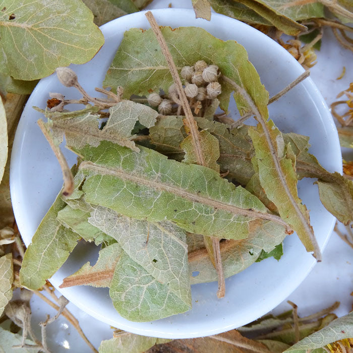 Linden Tea - Herbal Tea - Anti-inflammatory, Anxiety and Stress, Arthritis, Caffeine Free, Catch, Common Cold, Digestion, Kogan, spo-default, spo-disabled - Tea Life™